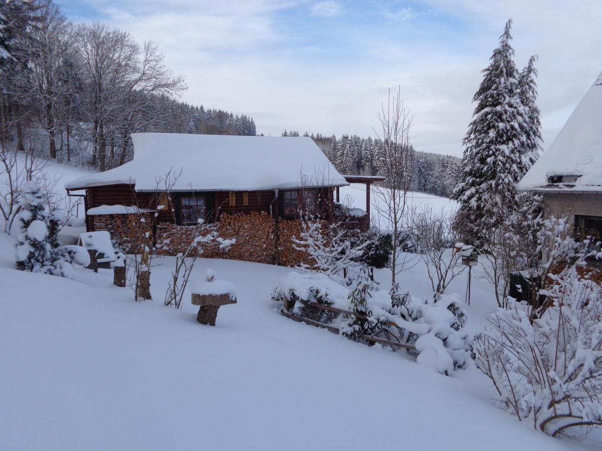 Villa Ferienhaus Sachse Pockau Exterior foto